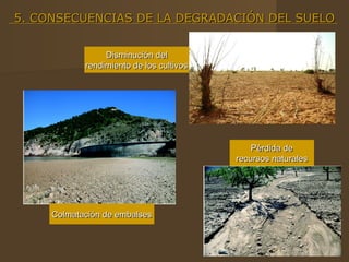 5. CONSECUENCIAS DE LA DEGRADACIÓN DEL SUELO


                 Disminución del
            rendimiento de los cultivos




                                              Pérdida de
                                          recursos naturales




     Colmatación de embalses
 