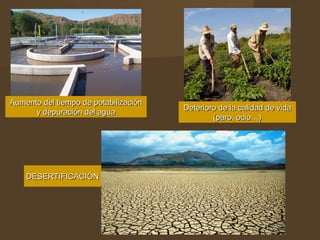 Aumento del tiempo de potabilización
                                       Deterioro de la calidad de vida
      y depuración del agua
                                               (paro, ocio…)




    DESERTIFICACIÓN
 