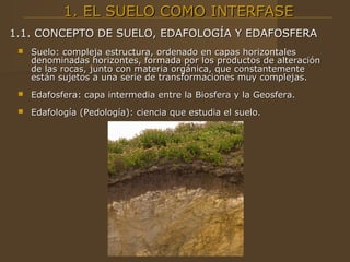 1. EL SUELO COMO INTERFASE
1.1. CONCEPTO DE SUELO, EDAFOLOGÍA Y EDAFOSFERA
    Suelo: compleja estructura, ordenado en capas horizontales
     denominadas horizontes, formada por los productos de alteración
     de las rocas, junto con materia orgánica, que constantemente
     están sujetos a una serie de transformaciones muy complejas.
    Edafosfera: capa intermedia entre la Biosfera y la Geosfera.
    Edafología (Pedología): ciencia que estudia el suelo.
 
