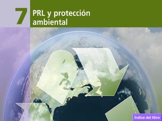 PRL y protección ambientalPRL y protección ambiental
Índice del libro
 