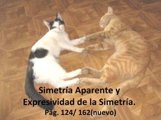 Simetría Aparente y
Expresividad de la Simetría.
Pág. 124/ 162(nuevo)
 