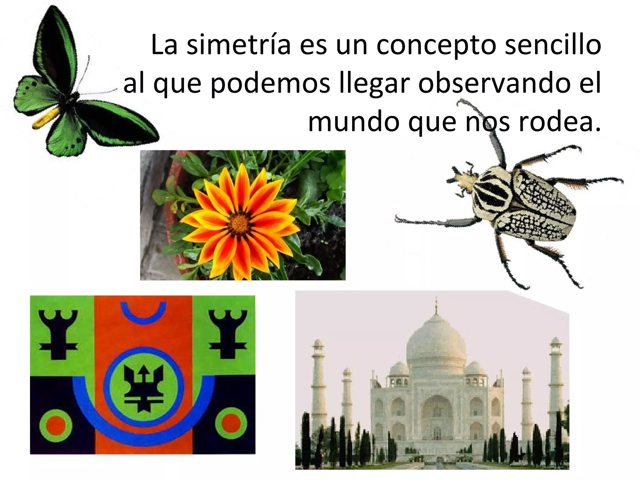 La simetría es un concepto sencillo
al que podemos llegar observando el
mundo que nos rodea.

 