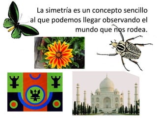 La simetría es un concepto sencillo al que podemos llegar observando el mundo que nos rodea.