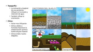 • Topografía:
• La inclinación y longitud
de una pendiente
influyen en la erosión y
retención de agua.
• También influye la
orientación.
• Clima:
• Factor mas influyente:
• Climas cálidos y
húmedos favorecen la
meteorización química:
Suelos de gran espesor.
• Climas áridos: Suelos
delgados.
 