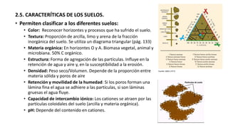2.5. CARACTERÍTICAS DE LOS SUELOS.
• Permiten clasificar a los diferentes suelos:
• Color: Reconocer horizontes y procesos que ha sufrido el suelo.
• Textura: Proporción de arcilla, limo y arena de la fracción
inorgánica del suelo. Se utiliza un diagrama triangular (pág. 133)
• Materia orgánica: En horizontes O y A. Biomasa vegetal, animal y
microbiana. 50% C orgánico.
• Estructura: Forma de agregación de las partículas. Influye en la
retención de agua y aire y, en la susceptibilidad a la erosión.
• Densidad: Peso seco/Volumen. Depende de la proporción entre
materia sólida y poros de aire
• Retención y movilidad de la humedad: Si los poros forman una
lámina fina el agua se adhiere a las partículas, si son láminas
gruesas el agua fluye.
• Capacidad de intercambio iónico: Los cationes se atraen por las
partículas coloidales del suelo (arcilla y materia orgánica).
• pH: Depende del contenido en cationes.
 