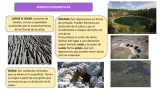 FORMAS EXOKÁRSTICAS
LAPIAZ O LENAR: conjunto de
canales, surcos y oquedades
producidos por el ensanchamiento
de las fisuras de la caliza.
.
SIMAS: Son conductos verticales
que se abren en la superficie. Tienen
su origen a partir de una grieta que
se ensancha por la disolución de la
caliza.
DOLINAS: Son depresiones en forma
de embudo. Pueden formarse por
disolución de la caliza o por el
hundimiento o colapso del techo de
una gruta.
Si se produce la unión de varias
dolinas dan lugar a una depresión
mayor llamada uvala, y la unión de
uvalas forma poljes, que son
depresiones que pueden tener varios
km2 de extensión.
.
 