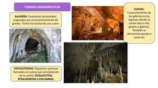 FORMAS ENDOKÁRSTICAS
GALERÍAS: Conductos horizontales
originados por el ensanchamiento de
grietas. Tramo horizontal de una cueva
ESPELEOTEMAS: Depósitos químicos
formados en cuevas por precipitación
de la calcita: ESTALACTITAS,
ESTALAGMITAS y COLUMNAS.
CUEVAS:
Ensanchamiento de
las galerías en las
regiones donde se
cortan dos o más
grietas o galerías.
También se
denominan grutas o
cavernas
 