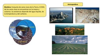 Biosfera: Conjunto de seres vivos de la Tierra. El 95%
de los seres vivos se encuentran en la mares y
océanos. Su existencia depende del agua líquida, de
la temperatura y del carbono.
Antroposfera.
 