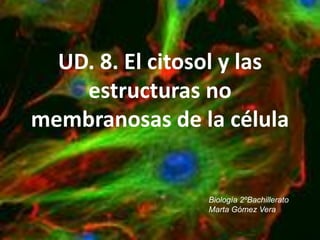 UD. 8. El citosol y las
estructuras no
membranosas de la célula
Biología 2ºBachillerato
Marta Gómez Vera
 