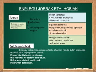Enplegu hobiak lanpostuak sortzeko ahalmen handia duten ekonomia-
jarduerak dira. Enplegu hobi berriak:
•Eguneroko bizitzako zerbitzuak.
•Bizi-kalitatea hobetzeko zerbitzuak.
•Kultura eta aisialdi zerbitzuak.
•Ingurumen zerbitzuak.
ENPLEGU-JOERAK ETA -HOBIAK
Joerak
Enpleguaren egoera
aldaraziko duten
fakoterak:
Biztanleria
zahartzea
Teknologiaren
eragina
Lehen sektorea:
• Nekazaritza ekologikoa
•Nekazaritza oro har
Bigarren sektorea:
•Ibilgailuak, ekipamendu optikoak
eta elektronikoak.
•Industria oro har.
Hirugarren sektorea:
•Garraioa eta ostalaritza.
•Adminiztrazioa.
Enlplegu-hobiak
 