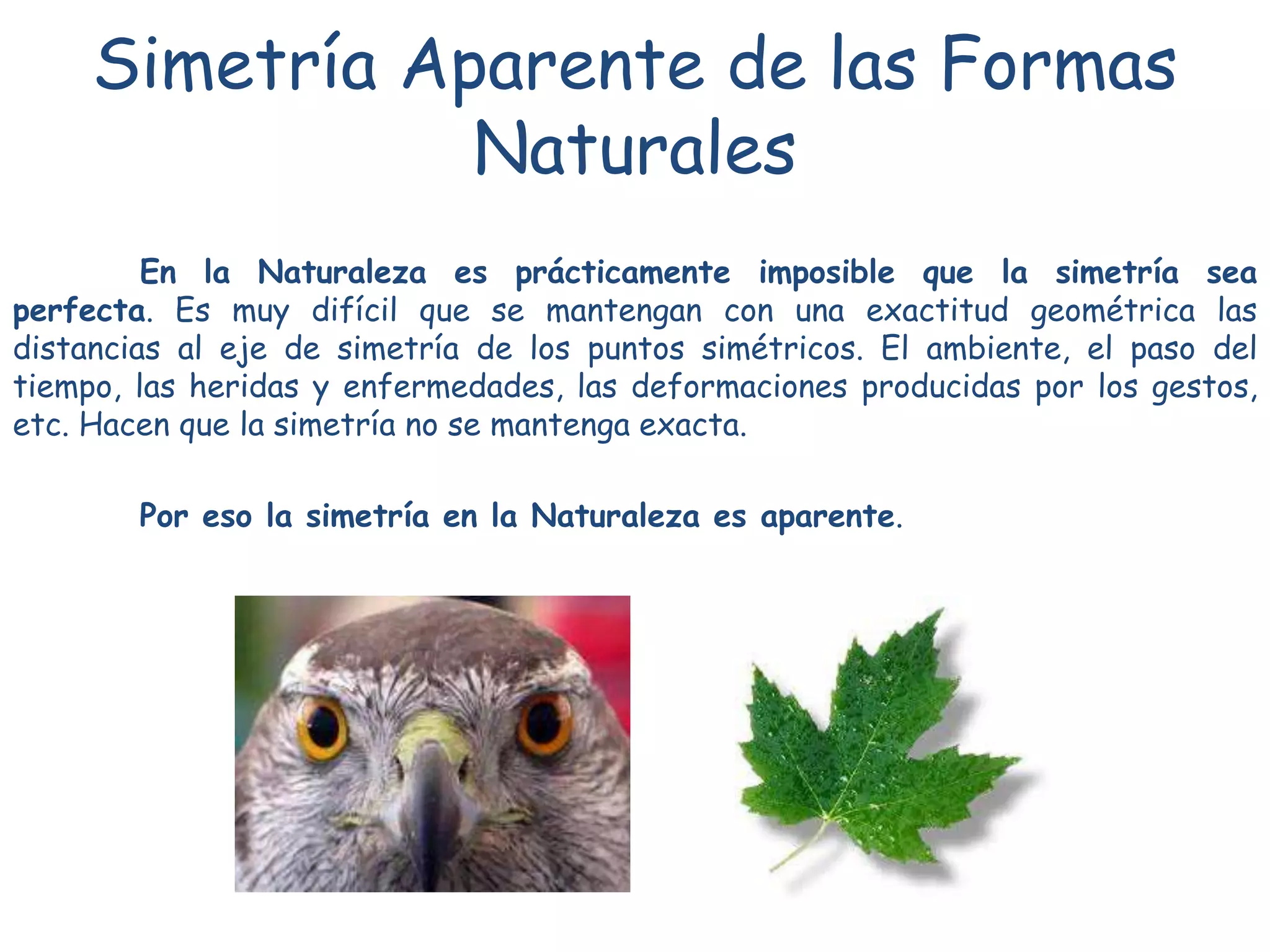 Simetría Aparente de las Formas
Naturales
En la Naturaleza es prácticamente imposible que la simetría sea
perfecta. Es muy difícil que se mantengan con una exactitud geométrica las
distancias al eje de simetría de los puntos simétricos. El ambiente, el paso del
tiempo, las heridas y enfermedades, las deformaciones producidas por los gestos,
etc. Hacen que la simetría no se mantenga exacta.
Por eso la simetría en la Naturaleza es aparente.
 