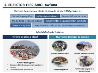 4. EL SECTOR TERCIARIO. Turismo
Turismo ha experimentado desarrollo desde 1960 gracias a…
Situación geográfica ∆ Turistas españoles Mejora infraestructuras
Medio físico y riqueza cultural Alojamientos y equipamientos turísticos
Oferta + asequible Actuaciones Estado, CCAA, provincias y municipios
Modalidades de turismo
Turismo de playa o litoral Nuevas modalidades de turismo
Turismo de sol y playa
 Costas mediterráneas y archipiélago balear y
canario.
 Turistas europeos y nacionales.
Turismo de naturaleza Turismo artístico-cultural
Turismo deportivo Turismo de congresos y
convenciones
 