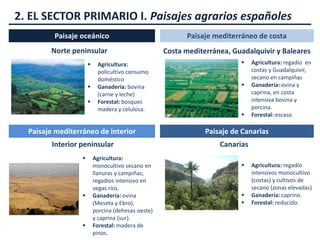 2. EL SECTOR PRIMARIO I. Paisajes agrarios españoles
Paisaje oceánico Paisaje mediterráneo de costa
Paisaje mediterráneo de interior Paisaje de Canarias
 Agricultura:
policultivo consumo
doméstico
 Ganadería: bovina
(carne y leche)
 Forestal: bosques
madera y celulosa.
Norte peninsular Costa mediterránea, Guadalquivir y Baleares
 Agricultura: regadío en
costas y Guadalquivir,
secano en campiñas
 Ganadería: ovina y
caprina, en costa
intensiva bovina y
porcina.
 Forestal: escaso
Interior peninsular
 Agricultura:
monocultivo secano en
llanuras y campiñas;
regadíos intensivo en
vegas ríos.
 Ganadería: ovina
(Meseta y Ebro),
porcina (dehesas oeste)
y caprina (sur).
 Forestal: madera de
pinos.
Canarias
 Agricultura: regadío
intensivos monocultivo
(costas) y cultivos de
secano (zonas elevadas)
 Ganadería: caprino.
 Forestal: reducido.
 