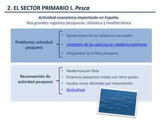 2. EL SECTOR PRIMARIO I. Pesca
Actividad económica importante en España.
Dos grandes regiones pesqueras: atlántica y mediterránea
Problemas actividad
pesquera
• Agotamiento de los caladeros nacionales
• Limitación de las capturas en caladeros exteriores
• Antigüedad de la flota pesquera
Reconversión de
actividad pesquera
• Modernización flota
• Empresas pesqueras mixtas con otros países
• Ayudas zonas afectadas por reconversión
• Acuicultura
 