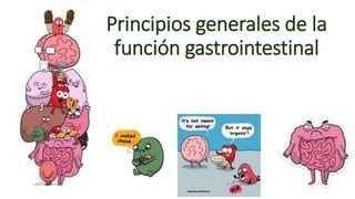 Principios generales de la
función gastrointestinal
 