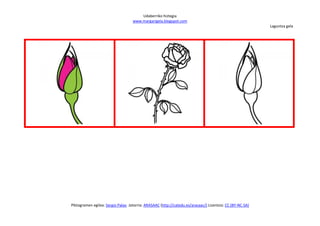 Udaberriko hiztegia
                                   www.margarigela.blogspot.com
                                                                                                          Laguntza gela




Piktogramen egilea: Sergio Palao Jatorria: ARASAAC (http://catedu.es/arasaac/) Lizentzia: CC (BY-NC-SA)
 