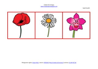 Udaberriko hiztegia
                                   www.margarigela.blogspot.com
                                                                                                          Laguntza gela




Piktogramen egilea: Sergio Palao Jatorria: ARASAAC (http://catedu.es/arasaac/) Lizentzia: CC (BY-NC-SA)
 