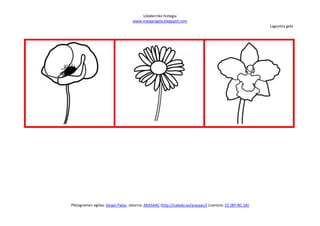 Udaberriko hiztegia
                                   www.margarigela.blogspot.com
                                                                                                          Laguntza gela




Piktogramen egilea: Sergio Palao Jatorria: ARASAAC (http://catedu.es/arasaac/) Lizentzia: CC (BY-NC-SA)
 