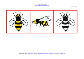 Udaberriko hiztegia
                                   www.margarigela.blogspot.com
                                                                                                          Laguntza gela




Piktogramen egilea: Sergio Palao Jatorria: ARASAAC (http://catedu.es/arasaac/) Lizentzia: CC (BY-NC-SA)
 