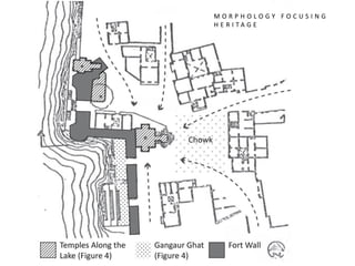 M O R P H O L O G Y F O C U S I N G
H E R I T A G E
 