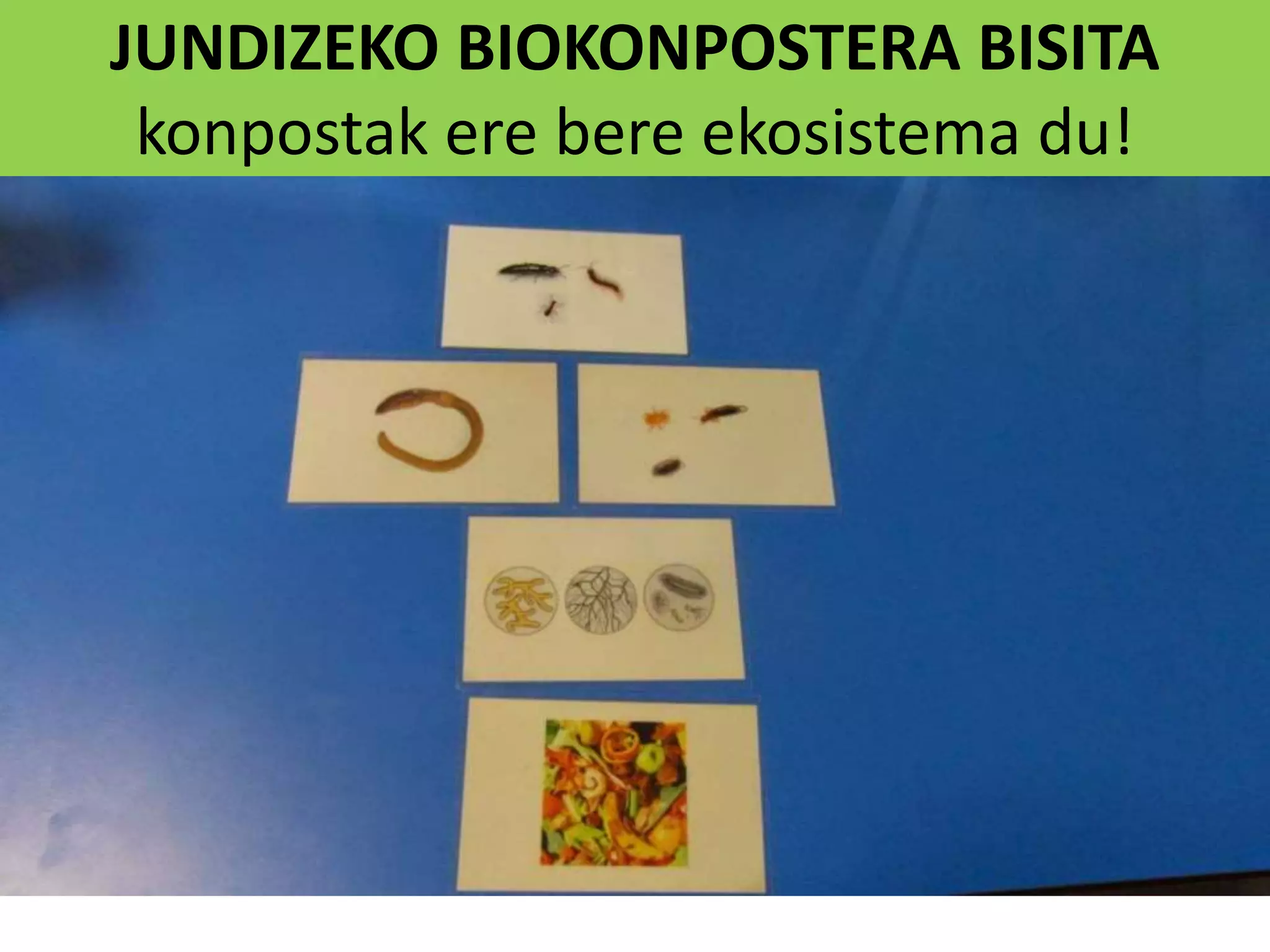 JUNDIZEKO BIOKONPOSTERA BISITA
konpostak ere bere ekosistema du!
 