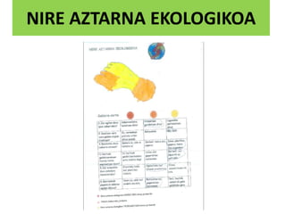 NIRE AZTARNA EKOLOGIKOA
 