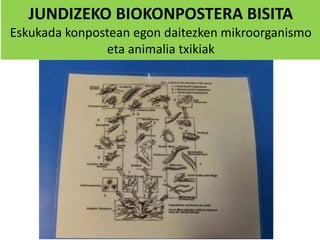 JUNDIZEKO BIOKONPOSTERA BISITA
Eskukada konpostean egon daitezken mikroorganismo
eta animalia txikiak
 
