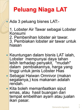 Peluang Niaga LAT
   Ada 3 peluang bisnes LAT:-
    1. Lobster Air Tawar sebagai Lobster
    Konsumi
    2. Pembenihan lobster air tawar.
    3. Pembiakan lobster air tawar untuk
    hiasan

 Keuntungan dalam bisnis LAT ialah,
  Lobster mempunyai daya tahan
  lebih terhadap penyakit, "mudah"
  dalam pembiakannya, harga yang
  tinggi untuk jenis Lobster Hias
 Sebagai Haiwan Omnivor (makan
  segalanya,) kos makanan adalah
  rendah.
 Kita boleh memanfaatkan siput
  emas, atau hasil buangan dari
  tempat embelihan ayam atau jualan
  ikan pasar.
                                                1
                           Demenshin Agrotech   3
 