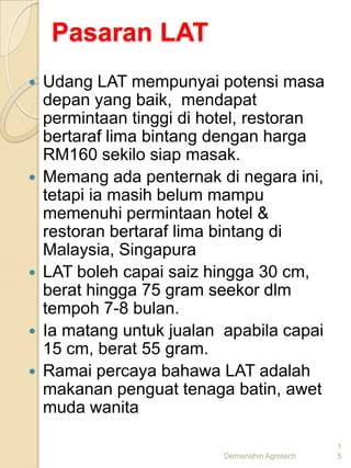 Pasaran LAT
   Udang LAT mempunyai potensi masa
    depan yang baik, mendapat
    permintaan tinggi di hotel, restoran
    bertaraf lima bintang dengan harga
    RM160 sekilo siap masak.
   Memang ada penternak di negara ini,
    tetapi ia masih belum mampu
    memenuhi permintaan hotel &
    restoran bertaraf lima bintang di
    Malaysia, Singapura
   LAT boleh capai saiz hingga 30 cm,
    berat hingga 75 gram seekor dlm
    tempoh 7-8 bulan.
   Ia matang untuk jualan apabila capai
    15 cm, berat 55 gram.
   Ramai percaya bahawa LAT adalah
    makanan penguat tenaga batin, awet
    muda wanita

                                                1
                           Demenshin Agrotech   5
 