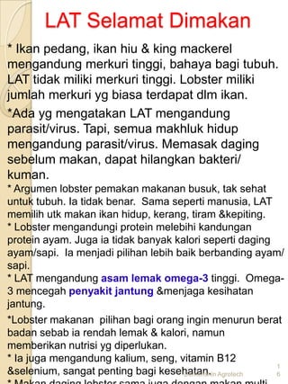 LAT Selamat Dimakan
* Ikan pedang, ikan hiu & king mackerel
mengandung merkuri tinggi, bahaya bagi tubuh.
LAT tidak miliki merkuri tinggi. Lobster miliki
jumlah merkuri yg biasa terdapat dlm ikan.
*Ada yg mengatakan LAT mengandung
parasit/virus. Tapi, semua makhluk hidup
mengandung parasit/virus. Memasak daging
sebelum makan, dapat hilangkan bakteri/
kuman.
* Argumen lobster pemakan makanan busuk, tak sehat
untuk tubuh. Ia tidak benar. Sama seperti manusia, LAT
memilih utk makan ikan hidup, kerang, tiram &kepiting.
* Lobster mengandungi protein melebihi kandungan
protein ayam. Juga ia tidak banyak kalori seperti daging
ayam/sapi. Ia menjadi pilihan lebih baik berbanding ayam/
sapi.
* LAT mengandung asam lemak omega-3 tinggi. Omega-
3 mencegah penyakit jantung &menjaga kesihatan
jantung.
*Lobster makanan pilihan bagi orang ingin menurun berat
badan sebab ia rendah lemak & kalori, namun
memberikan nutrisi yg diperlukan.
* Ia juga mengandung kalium, seng, vitamin B12
                                                         1
&selenium, sangat penting bagi kesehatan. Agrotech
                                     Demenshin           6
 