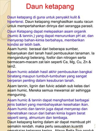 Daun ketapang
Daun ketapang di guna untuk penyakit kulit &
hipertensi. Daun ketapang menghasilkan suatu racun
untuk mempertahankan dirinya dari serangga parasit.
Daun Ketapang dapat melepaskan asam organik
(humic & tannin,) yang dapat menurunkan pH air, dan
menyerap bahan-kimia berbahaya, memberikan
kondisi air lebih baik.
Asam humic berasal dari beberapa sumber,
kebanyakan dari tanah hasil pembusukan tanaman. Ia
mengandungi belerang, fosfor dan nitrogen serta
bermacam-macam zat lain seperti Ca, Mg, Cu, Zn &
lain2.
Asam humic adalah hasil akhir pembusukan bangkai
binatang maupun tumbuh-tumbuhan yang sangat
berperan penting dalam kesuburan tanah.
Asam tannin, lignin dan fulvic adalah sub kelas dari
asam humic. Mereka semua mewarnai air sehingga
menguning.
Asam humic & tannin dapat menghambat berbagai
jenis bakteri yang membahayakan kesehatan ikan.
Asam humic dan tannin juga dapat menyerap dan
menetralkan racun dari bahan kimia logam berat
seperti seng, almunium dan tembaga.
Daun ketapang kering dalam air dapat membuat pH
                                                      2
semakin rendah. maka perlu sesuaikan kuantiti
                                   Demenshin Agrotech 7
 