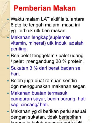 Pemberian Makan
   Waktu malam LAT aktif iaitu antara
    6 ptg ke tengah malam, masa ini
    yg terbaik utk beri makan.
   Makanan lengkap(suplemen
    vitamin, mineral) utk Induk adalah
    penting,
   Beri pelet tenggelam / palet udang
    / pelet mengandung 28 % protein,
   Sukatan 3 % dari berat badan se
    hari.
   Boleh juga buat ramuan sendiri
    dgn menggunakan makanan segar.
   Makanan buatan termasuk
    campuran sayur, benih burung, hati
    sapi cincang/ hati.
   Makanan yg di berikan perlu sesuai
    dengan sukatan, tidak Demenshin Agrotech
                            berlebihan         2
                                               8
 