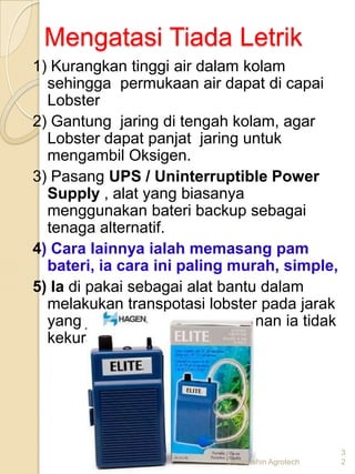 Mengatasi Tiada Letrik
1) Kurangkan tinggi air dalam kolam
  sehingga permukaan air dapat di capai
  Lobster
2) Gantung jaring di tengah kolam, agar
  Lobster dapat panjat jaring untuk
  mengambil Oksigen.
3) Pasang UPS / Uninterruptible Power
  Supply , alat yang biasanya
  menggunakan bateri backup sebagai
  tenaga alternatif.
4) Cara lainnya ialah memasang pam
  bateri, ia cara ini paling murah, simple,
5) Ia di pakai sebagai alat bantu dalam
  melakukan transpotasi lobster pada jarak
  yang jauh, agar dalam perjalanan ia tidak
  kekurangan Oksigen.




                                                3
                           Demenshin Agrotech   2
 