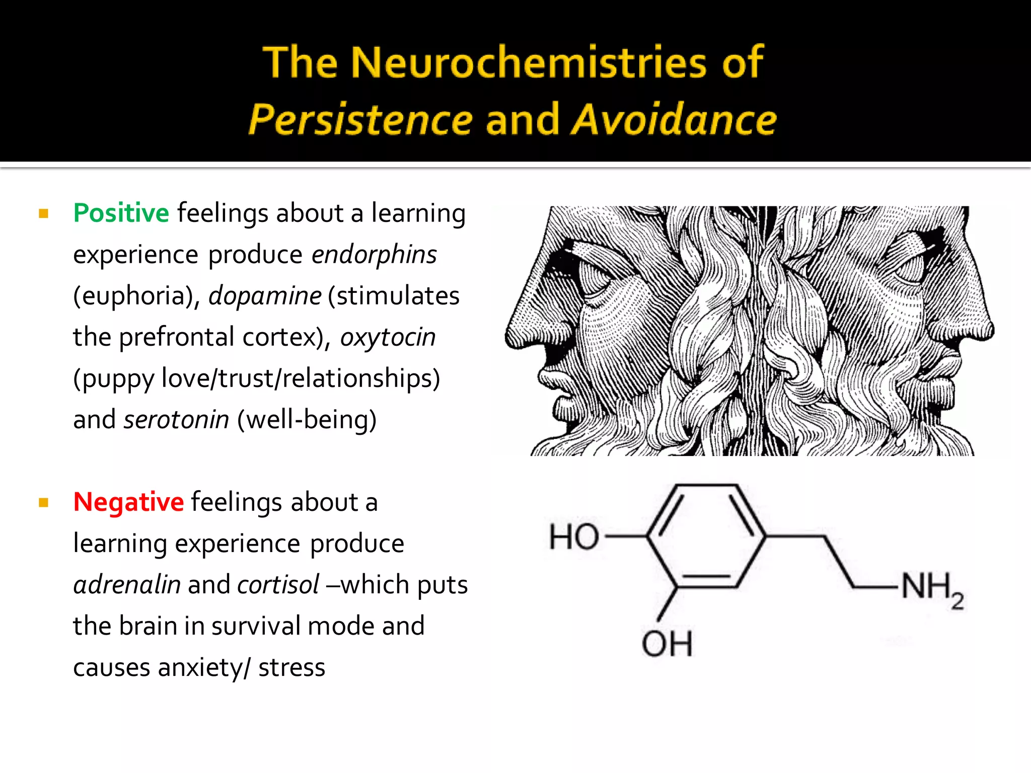  Positive feelings about a learning
experience produce endorphins
(euphoria), dopamine (stimulates
the prefrontal cortex), oxytocin
(puppy love/trust/relationships)
and serotonin (well-being)
 Negative feelings about a
learning experience produce
adrenalin and cortisol –which puts
the brain in survival mode and
causes anxiety/ stress
 