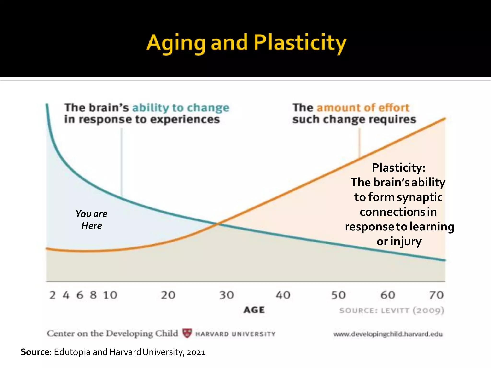 Source: Edutopia andHarvardUniversity,2021
You are
Here
Plasticity:
The brain’sability
to formsynaptic
connectionsin
responsetolearning
or injury
 