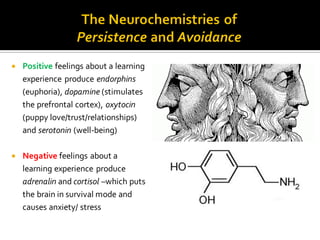  Positive feelings about a learning
experience produce endorphins
(euphoria), dopamine (stimulates
the prefrontal cortex), oxytocin
(puppy love/trust/relationships)
and serotonin (well-being)
 Negative feelings about a
learning experience produce
adrenalin and cortisol –which puts
the brain in survival mode and
causes anxiety/ stress
 