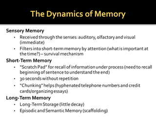 The Dynamics of Memory
Sensory Memory
• Receivedthroughthe senses:auditory,olfactoryandvisual
(immediate)
• Filtersintoshort-termmemoryby attention (whatisimportant at
thetime?)– survival mechanism
Short-Term Memory
• “ScratchPad” for recall ofinformationunderprocess(needto recall
beginningofsentencetounderstandtheend)
• 30 secondswithout repetition
• “Chunking”helps(hyphenatedtelephone numbersandcredit
cards/organizingessays)
Long-Term Memory
• Long-TermStorage(littledecay)
• EpisodicandSemanticMemory(scaffolding)
 