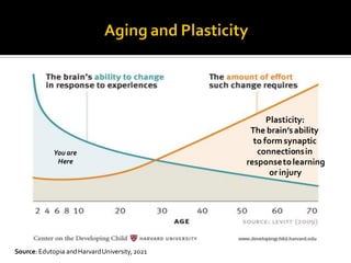 Source: Edutopia andHarvardUniversity,2021
You are
Here
Plasticity:
The brain’sability
to formsynaptic
connectionsin
responsetolearning
or injury
 