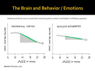 Source: Edutopia,2021
Adolescent brain scans reveal that reward systems mature well before inhibitory systems.
 