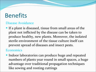 Benefits Disease Avoidance If a plant is diseased, tissue from small areas of the plant not inflicted by the disease can be taken to produce healthy, new plants. Moreover, the isolated sterile environment of the tissue culture itself can prevent spread of diseases and insect pests. Economics Indoor laboratories can produce huge and repeated numbers of plants year round in small spaces, a huge advantage over traditional propagation techniques like sowing and rooting cuttings 