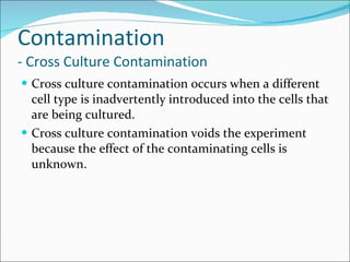 Contamination - Cross Culture Contamination Cross culture contamination occurs when a different cell type is inadvertently introduced into the cells that are being cultured. Cross culture contamination voids the experiment because the effect of the contaminating cells is unknown. 