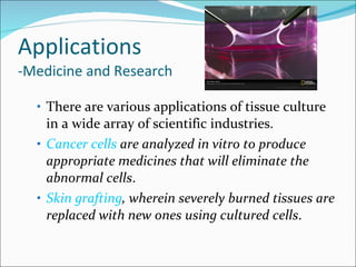 Applications -Medicine and Research There are various applications of tissue culture in a wide array of scientific industries.  Cancer cells  are analyzed in vitro to produce appropriate medicines that will eliminate the abnormal cells .  Skin grafting , wherein severely burned tissues are replaced with new ones using cultured cells . 