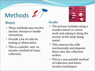 Methods Biopsy Swabs These methods may involve suction, forceps or needle extractions. Provide a lot of cells for testing or observation. This is a painful  and  an invasive method of tissue collection. The process includes using a wooden dowel or cotton swab and wiping it along the section of the body being tested This removes the cells mechanically and deposits them onto the collection surface This is a non-painful method of collection and limits invasive techniques. 