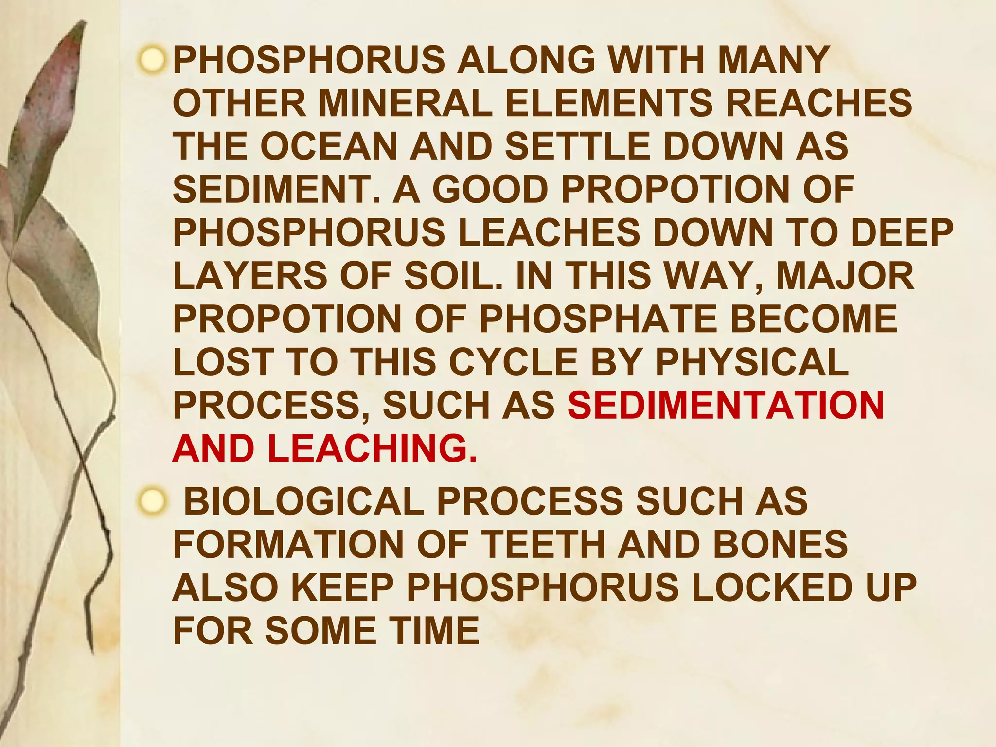 PHOSPHORUS ALONG WITH MANY
OTHER MINERAL ELEMENTS REACHES
THE OCEAN AND SETTLE DOWN AS
SEDIMENT. A GOOD PROPOTION OF
PHOSPHORUS LEACHES DOWN TO DEEP
LAYERS OF SOIL. IN THIS WAY, MAJOR
PROPOTION OF PHOSPHATE BECOME
LOST TO THIS CYCLE BY PHYSICAL
PROCESS, SUCH AS SEDIMENTATION
AND LEACHING.
BIOLOGICAL PROCESS SUCH AS
FORMATION OF TEETH AND BONES
ALSO KEEP PHOSPHORUS LOCKED UP
FOR SOME TIME

 