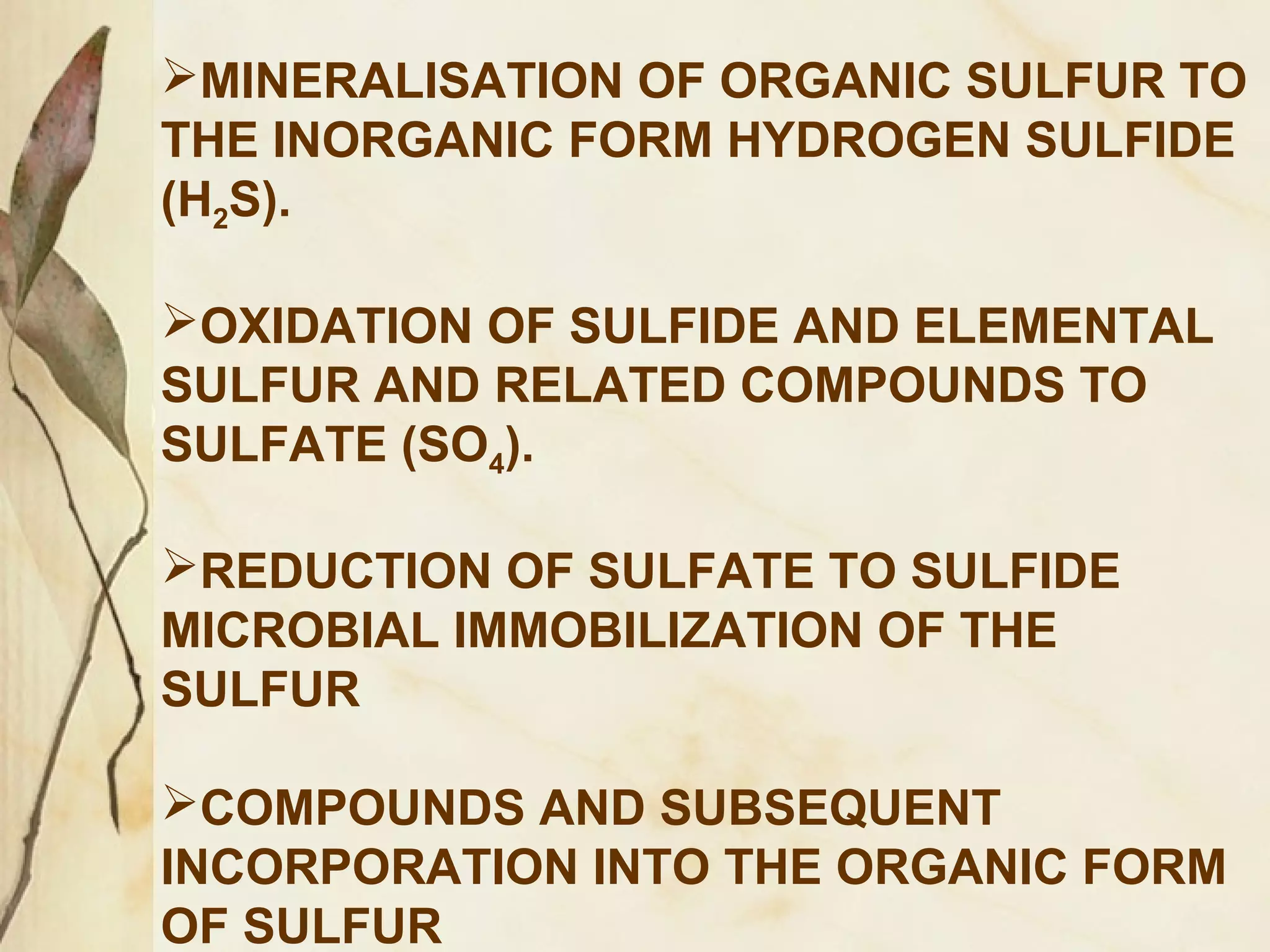 MINERALISATION OF ORGANIC SULFUR TO
THE INORGANIC FORM HYDROGEN SULFIDE
(H2S).
OXIDATION OF SULFIDE AND ELEMENTAL
SULFUR AND RELATED COMPOUNDS TO
SULFATE (SO4).
REDUCTION OF SULFATE TO SULFIDE
MICROBIAL IMMOBILIZATION OF THE
SULFUR
COMPOUNDS AND SUBSEQUENT
INCORPORATION INTO THE ORGANIC FORM
OF SULFUR

 