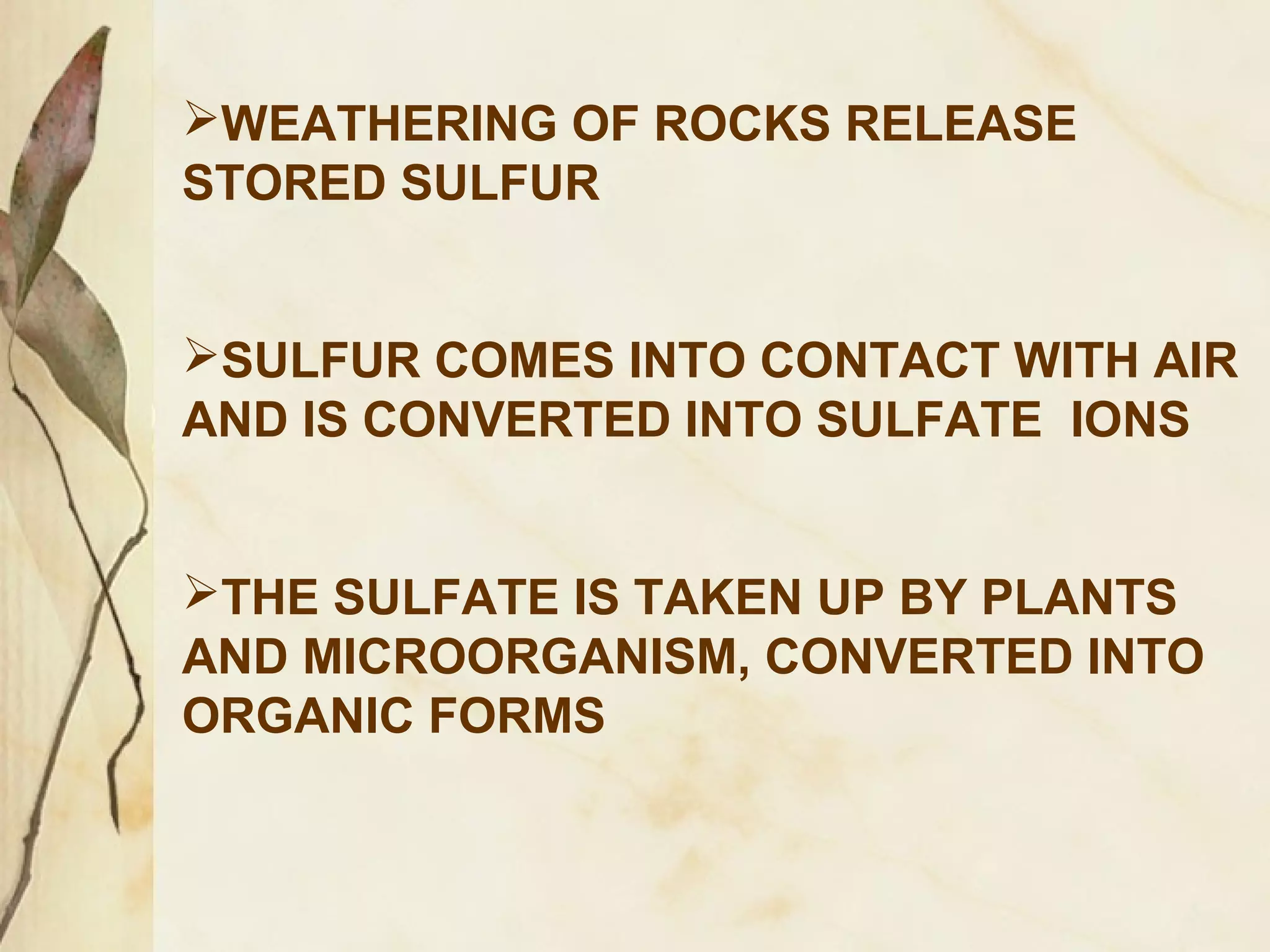 WEATHERING OF ROCKS RELEASE
STORED SULFUR
SULFUR COMES INTO CONTACT WITH AIR
AND IS CONVERTED INTO SULFATE IONS
THE SULFATE IS TAKEN UP BY PLANTS
AND MICROORGANISM, CONVERTED INTO
ORGANIC FORMS

 