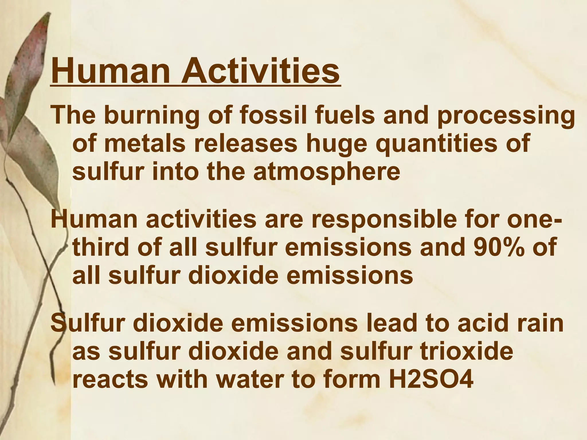 Human Activities
The burning of fossil fuels and processing
of metals releases huge quantities of
sulfur into the atmosphere
Human activities are responsible for onethird of all sulfur emissions and 90% of
all sulfur dioxide emissions
Sulfur dioxide emissions lead to acid rain
as sulfur dioxide and sulfur trioxide
reacts with water to form H2SO4

 