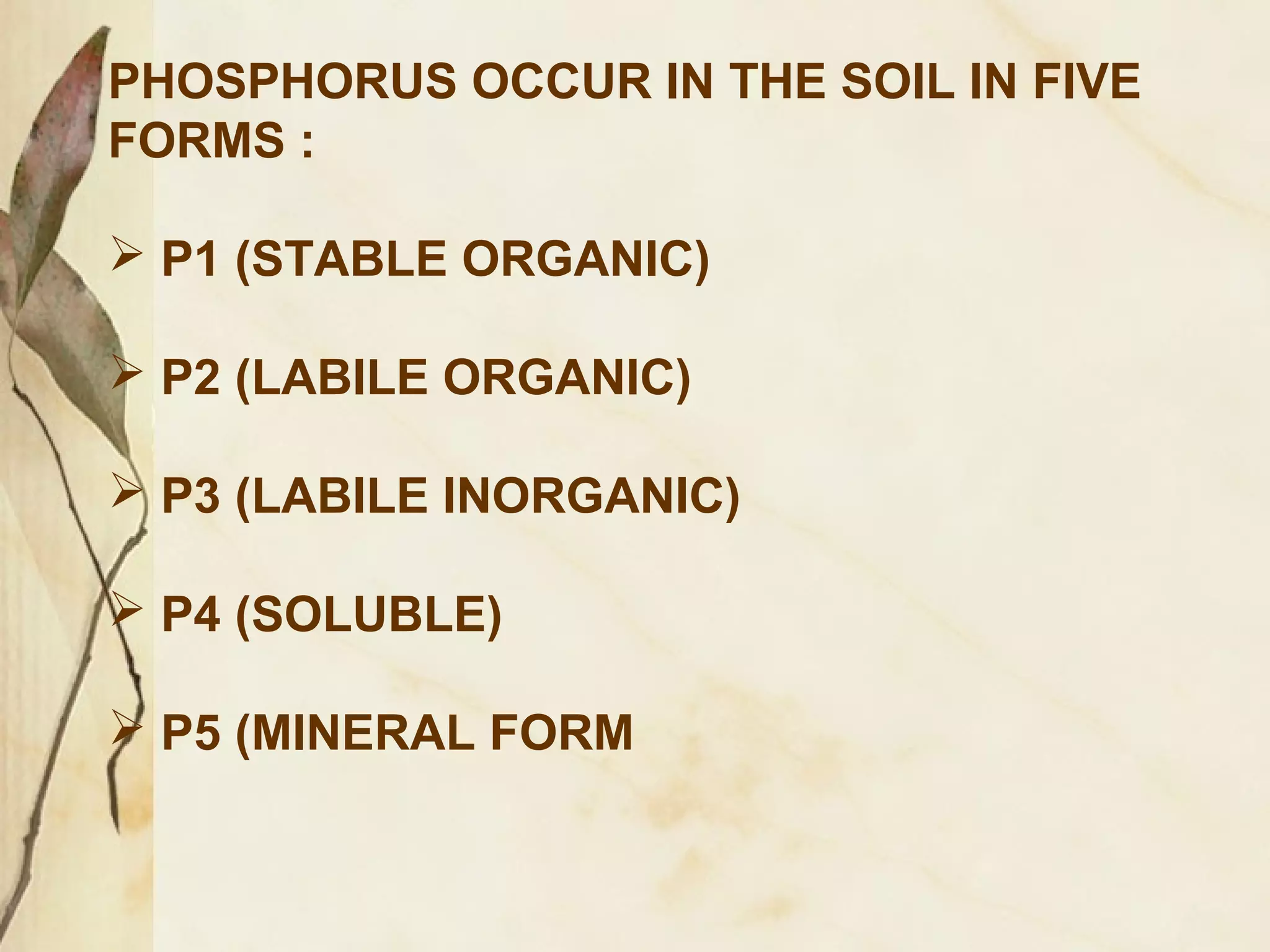 PHOSPHORUS OCCUR IN THE SOIL IN FIVE
FORMS :
 P1 (STABLE ORGANIC)
 P2 (LABILE ORGANIC)
 P3 (LABILE INORGANIC)
 P4 (SOLUBLE)
 P5 (MINERAL FORM

 
