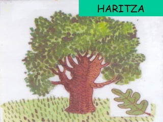 HARITZA