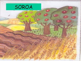 SOROA
SOROA